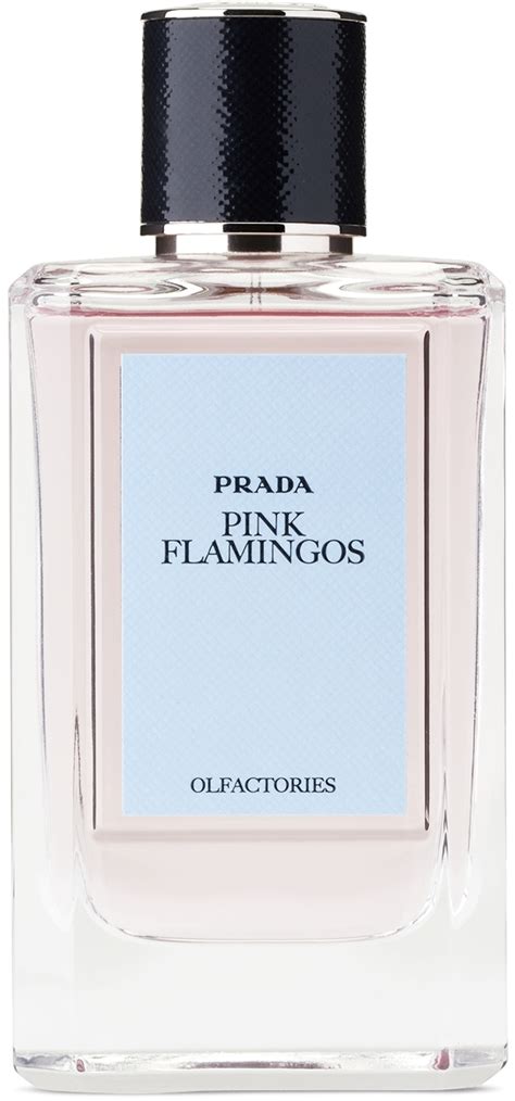 prada pink perfume review|prada perfume pink flamingo.